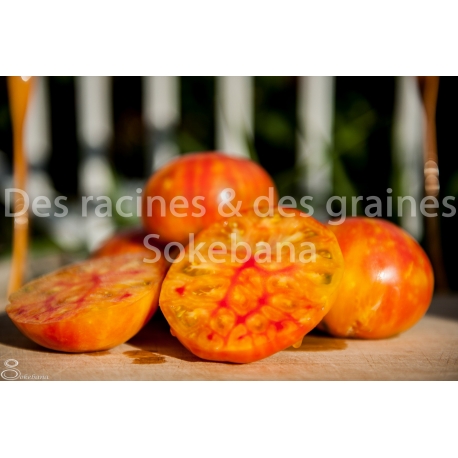 Tomate ananas, tomate multicolore, tomate sucrée
